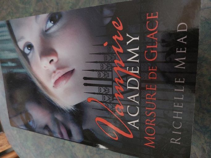 Vampire academy tome 2 | Richelle Mead