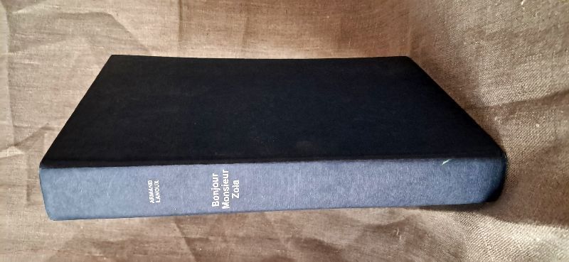 Bonjour monsieur Zola | Armand Lanoux