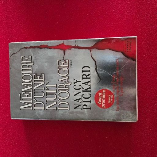 Mémoire d'une nuit D'orage | Nancy Pickard