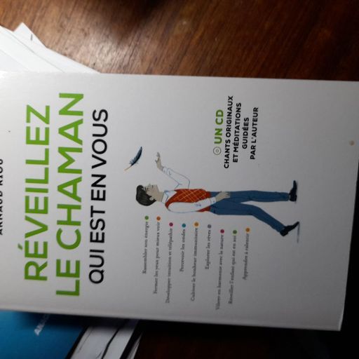 Reveillez le chaman qui est en vous | Arnaud Riou