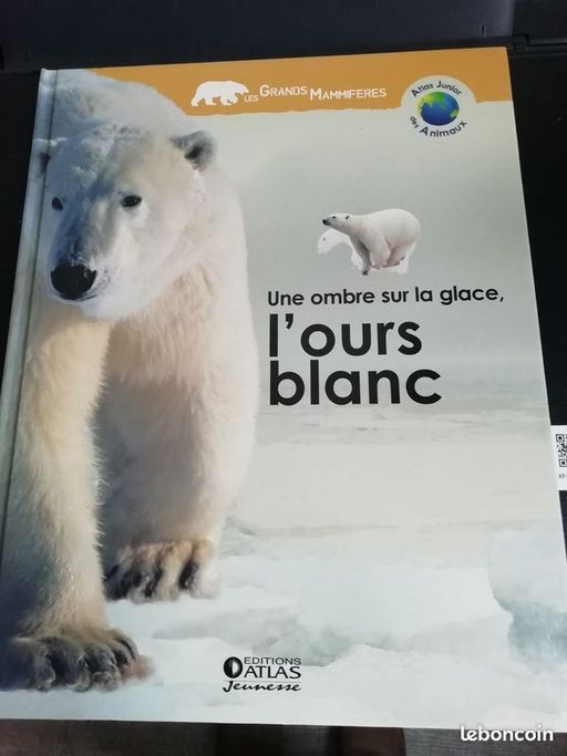 l'ours blanc une ombre sur la glace  | Anne royer 