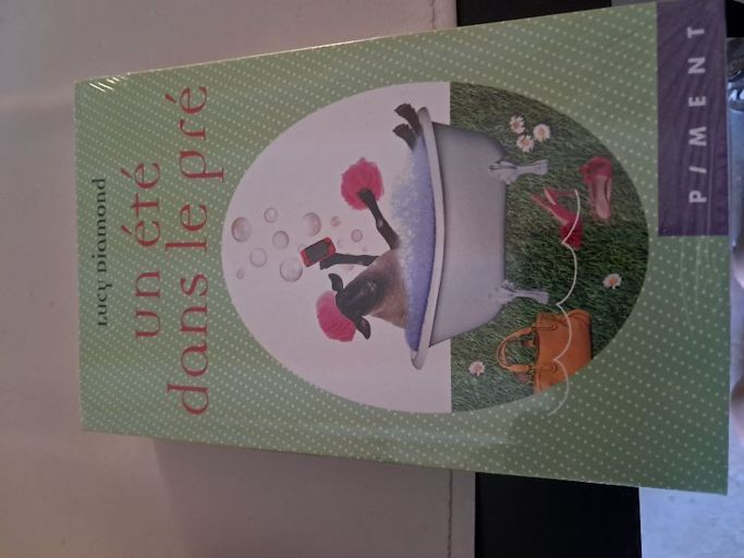 Un ete dans le pre | Lucy diamond