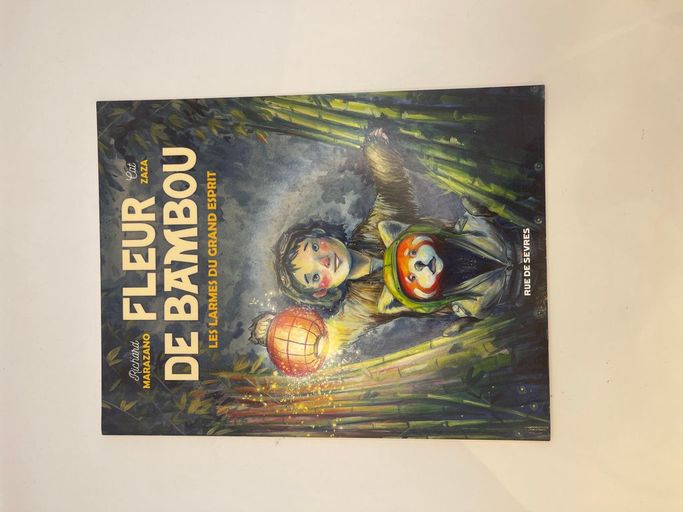 Fleur de bambou - tome 1 : les larmes du grand esprit | Richard Marazano