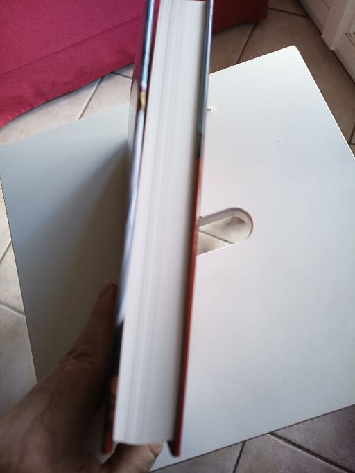 Le lieutenant de la frégate légère | Catherine Decours