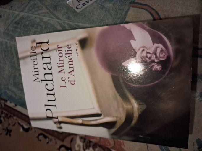 Le miroir d amelie | Mireille pluchard