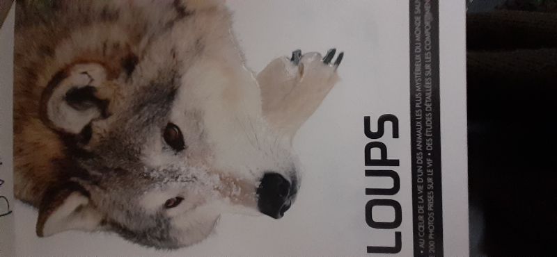 Loups | Shaun Ellis-Monty Sloan