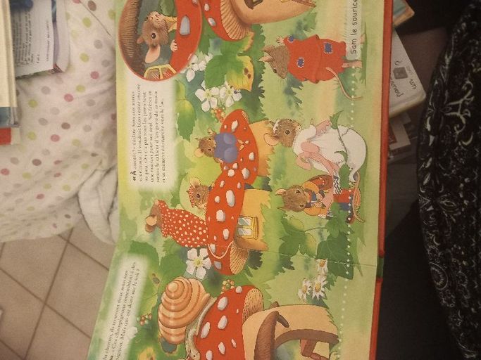 Mon livre de lecture dans la foret des bebes animaux | Schwager
