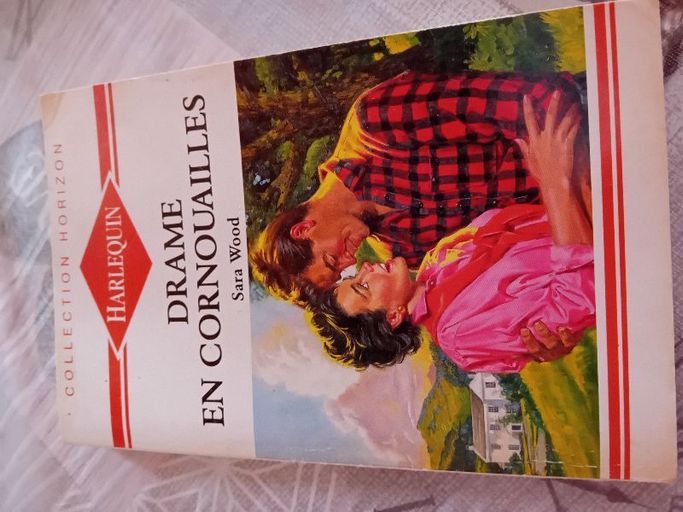 Drame en cornouailles | Sara wood