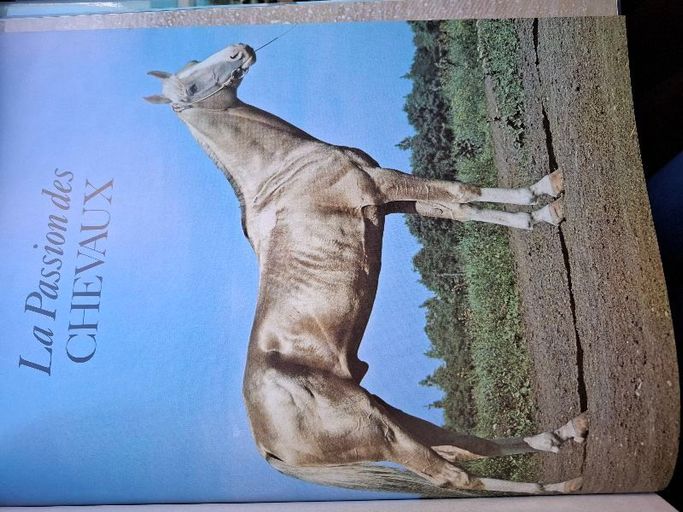 La passion des chevaux | Anne Alcock