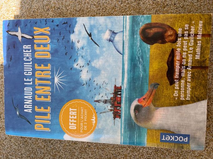 Pile entre deux | Arnaud le guilcher