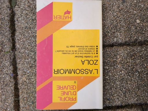 Profil d'une œuvre L'assomoir Zola | Colette Becker