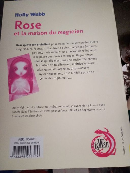Rose et la maison du magicien | Holly webb
