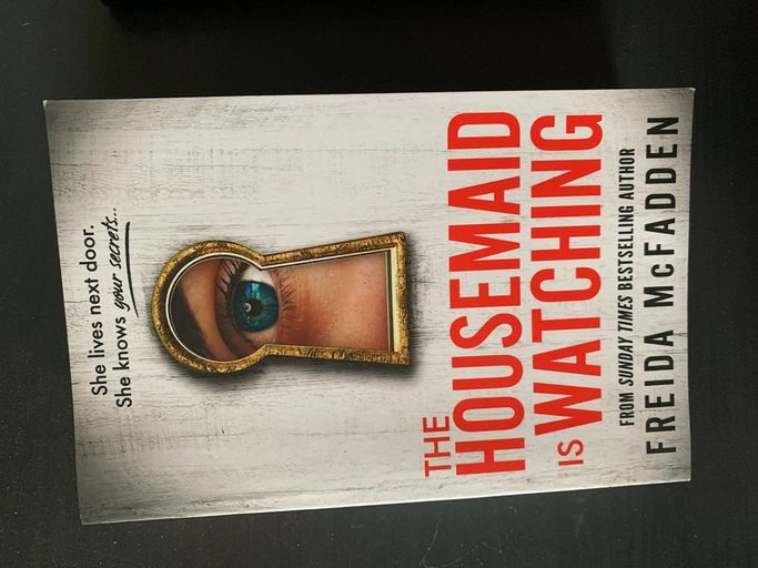 The housemaid is watching | Freida Mac Fadden