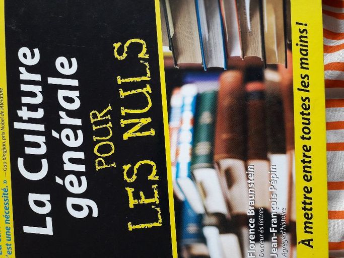 La culture générale pour les nuls | Gao xingjan