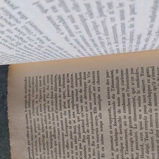 Le phénomène humain | Pierre Teilhard de Chardin
