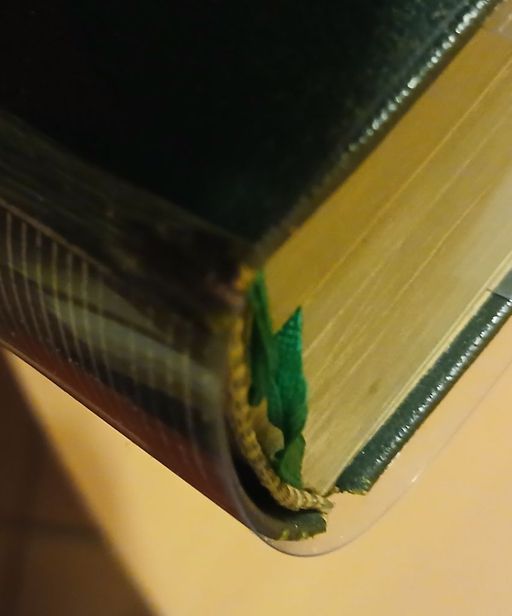 l'idiot | dostoievski