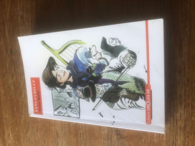 Sans famille | Hector Malot