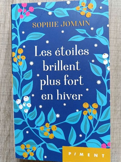Les étoiles brillent plus fort en hiver | Sophie Jomain