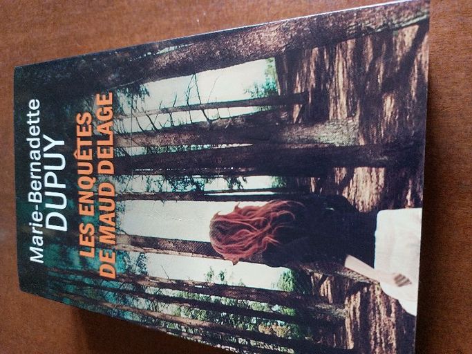 Les enquêtes de Maud Delage | Marie Bernadette Dupuy