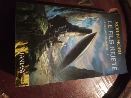 Le fils rejeté.  Le soldat chamane 3 | Robin Hobb