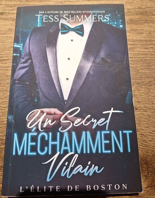 Un secret méchamment Vilain | Tess Summers
