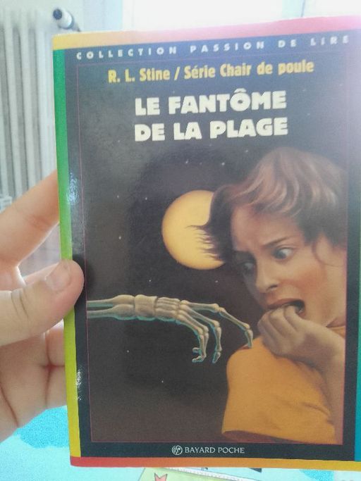 Le fantôme de la plage | Stine