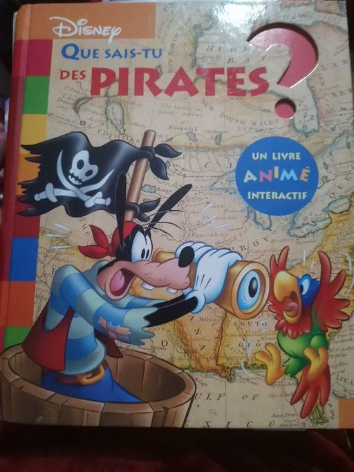 Que sais tu des pirates | Disney