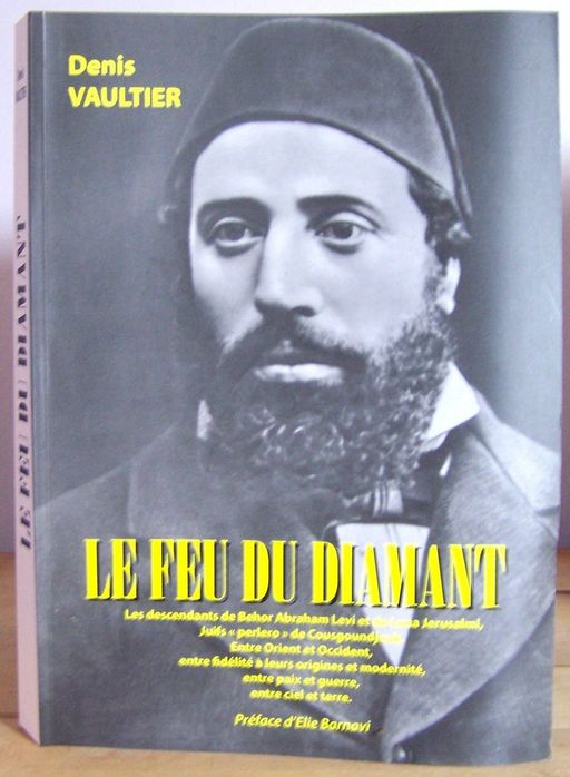 Le feu du diamant | Denis Vaultier