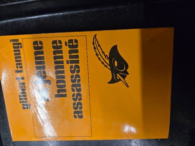 Le jeune homme assassiné | Gilbert tanugi