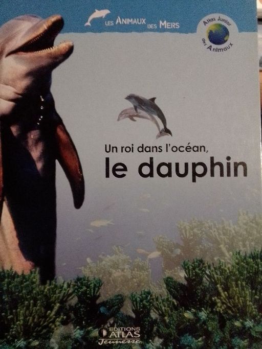 Un roi dans l'océan, le dauphin | Anne Royer