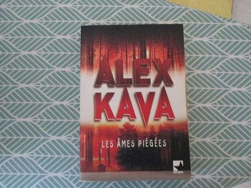 les ames piégées | alex kava