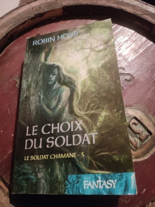 Le choix du soldat. Le soldat chamane 5 | Robin Hobb