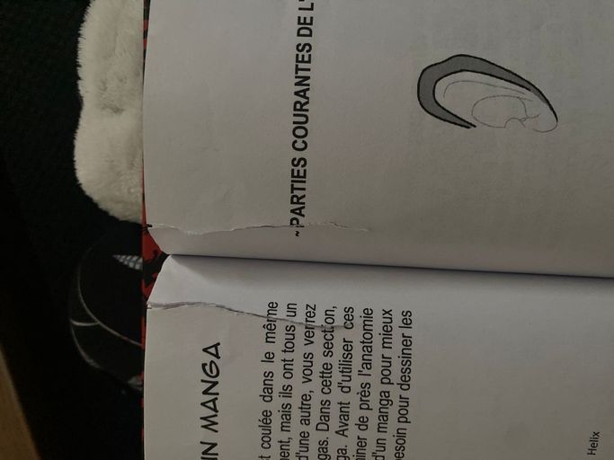 Apprendre à dessiner des visages de manga | Shinjuku press