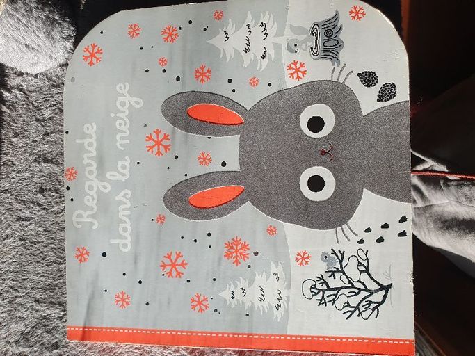 Regarde dans la neige | Emiri Hayashi