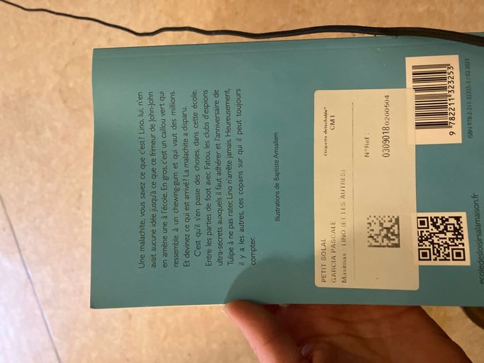 Lino ( et les autres) | Mathieu Pierloot et Baptiste Amsallem