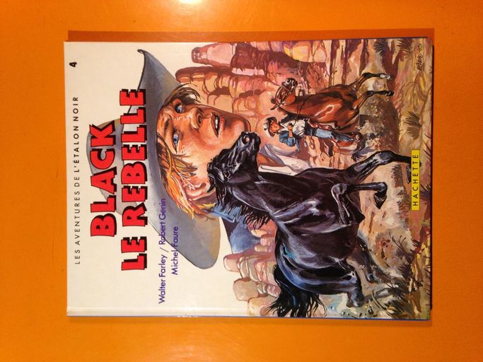 Black la rebelle (L'étalon noir) | Michel Faure