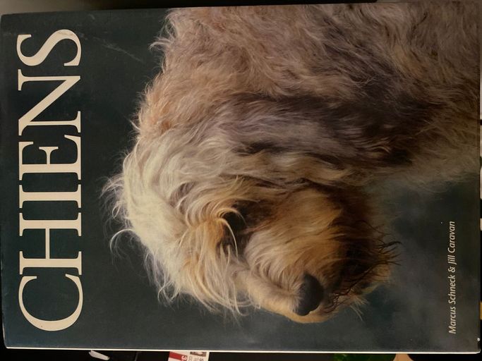 Chiens | Marcus Schneck € Jill Caravan