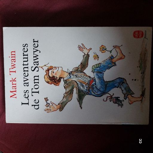 Les aventures de Tom Sawyer | Mark Twain