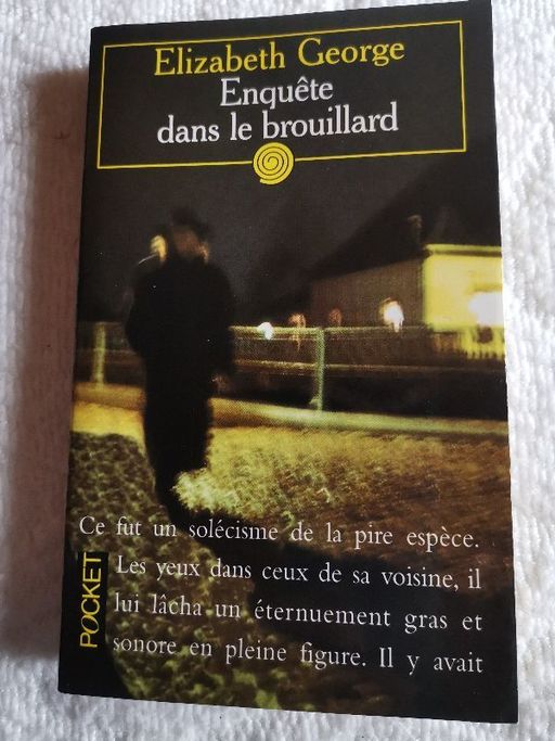 Enquête dans le brouillard | Elisabeth George