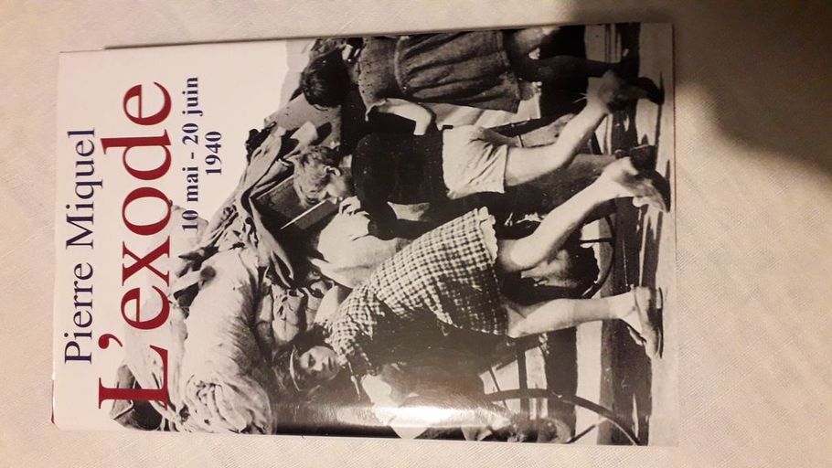 L'exode | Pierre Miquel