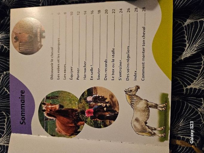 Les livres a construire  chevaux et poneys | Emilie gillet