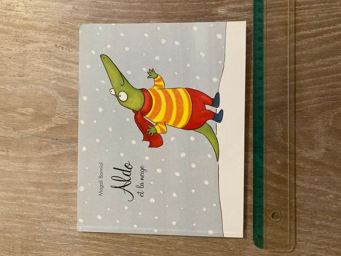 Aldo et la neige | Magali Bonniol