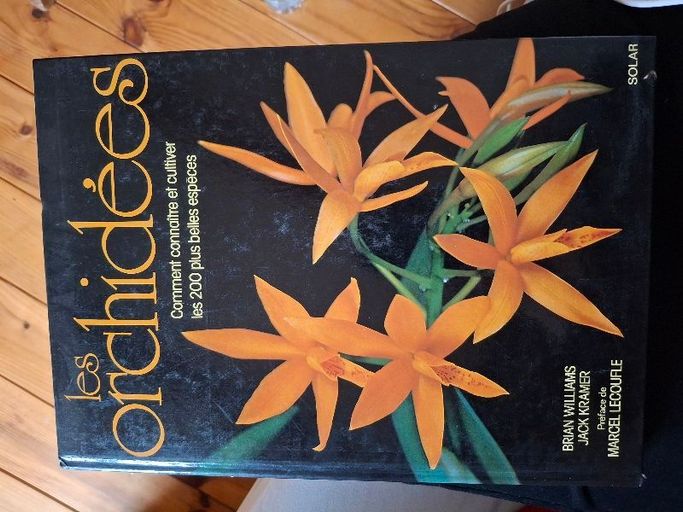 Les orchidees | Brian Williams et jack kramer