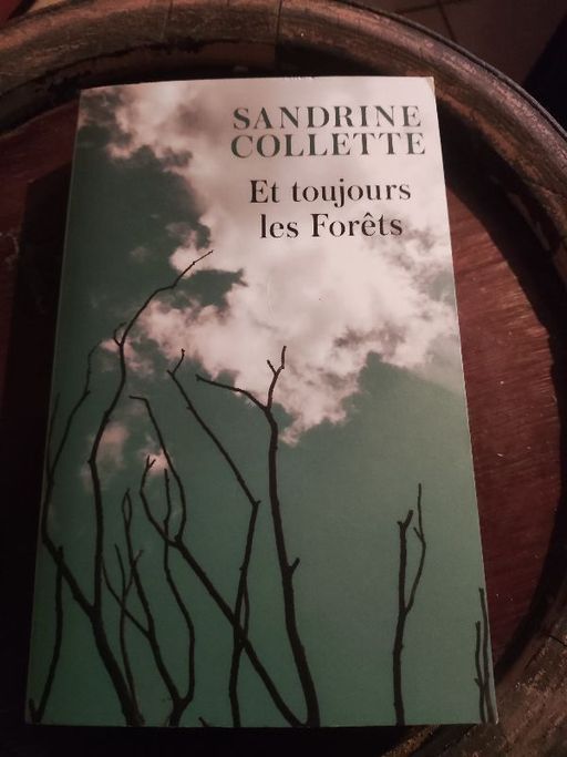 Et toujours les forêts | Sandrine Collette