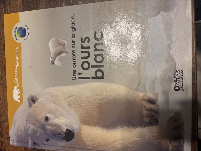 Une ombre sur la glace l’ours blanc | Anne royer