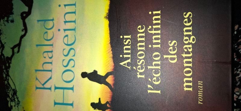 Ainsi résonne l'écho infini des montagnes | Khaled Hosseini