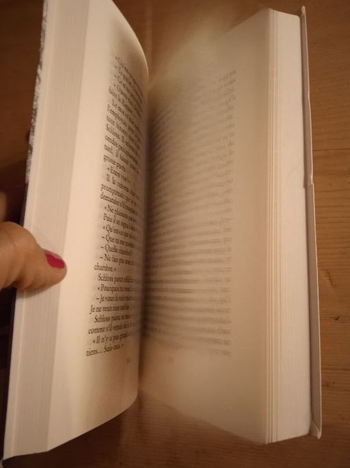 Le rapport de Brodeck | Philippe Claudel