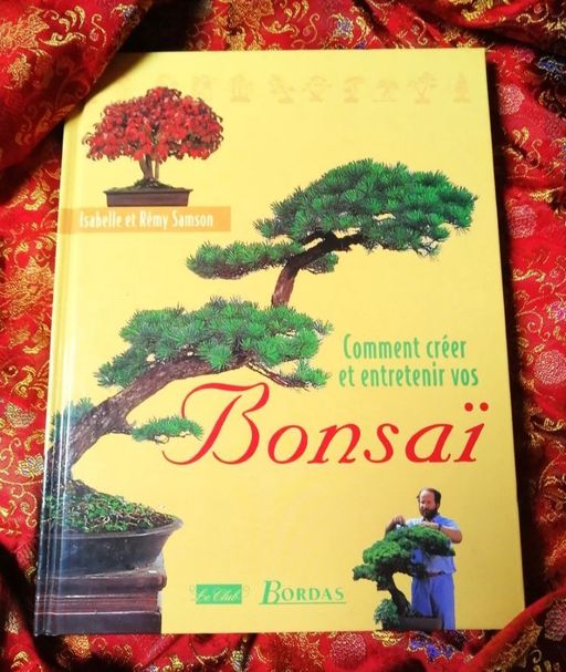 Comment créer et entretenir vos Bonsaï | Isabelle et Rémy Samson