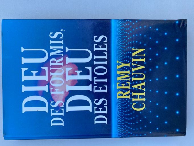 Dieu des fourmis, dieu des etoiles | Remy chauvin