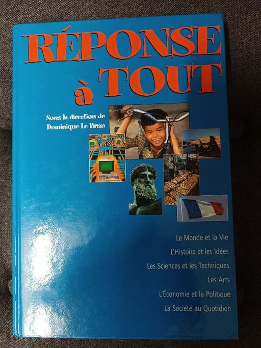 Réponse à tout | Dominique Le Brun